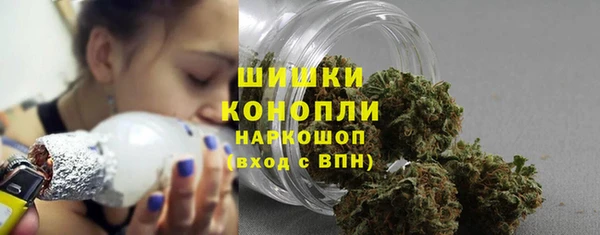 амф Богородицк