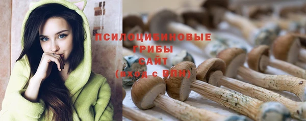 прущие крисы Богданович