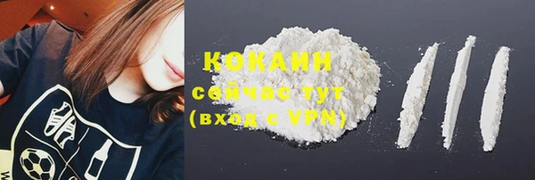 прущие крисы Богданович
