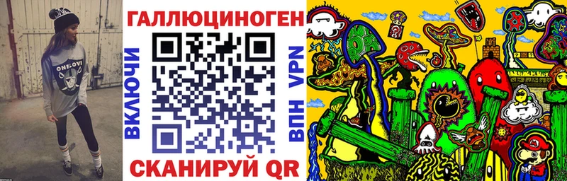 где купить наркотик  Козловка  Псилоцибиновые грибы Psilocybe 